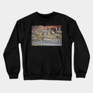 Roe deer family Crewneck Sweatshirt